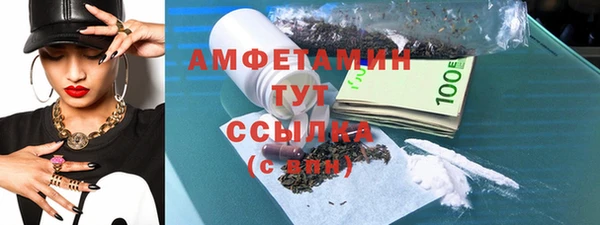 шишки Осинники