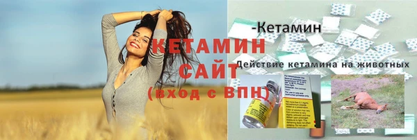 шишки Осинники