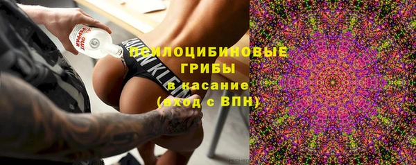 apvp Остров