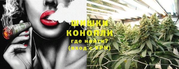 шишки Осинники