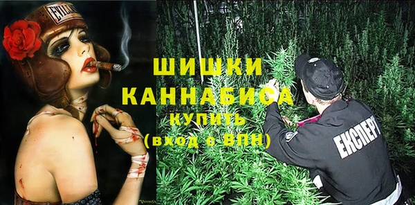 шишки Осинники