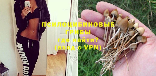 шишки Осинники