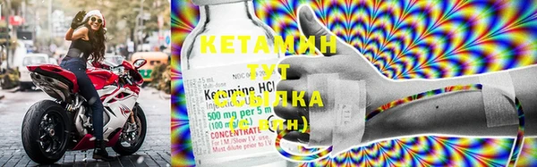 шишки Осинники