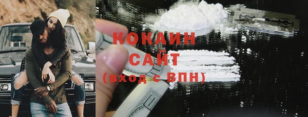 шишки Осинники
