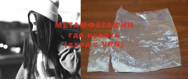 шишки Осинники